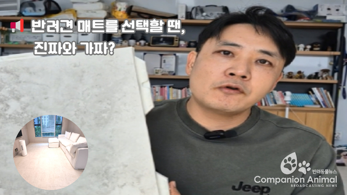 유아용 매트가 반려견 매트로 둔갑? 왜? "반려견 매트 시장의 진실과 강사모매트만의 기술력"