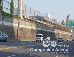 퍼블릭 아트캔버스를 설치할 200m 구간。